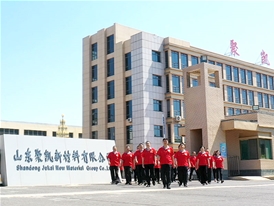 聚凱團隊