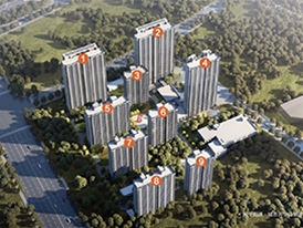 民生海通·城市芳華（聊城）